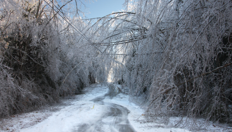 Image shows damage following Ice Storm in Mississippi. Article features HUD assistance following storm.
