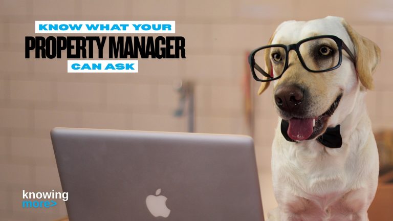 A dog wearing glasses with words "Know what your property manager can ask"