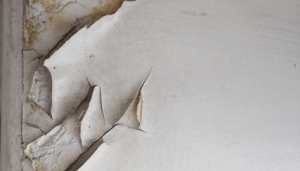 Lead Remediation: Image shows old, lead paint peeling from a wall. 