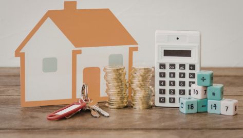 Income Misreporting