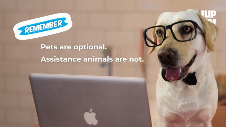 A dog wearing glasses with words "Remember. Pets are optional. Assitance animals are not."