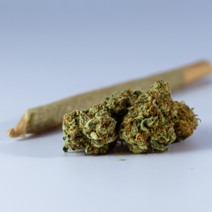 Substance Abuse in Housing. Image shows Marijuana and Rolled Joint.